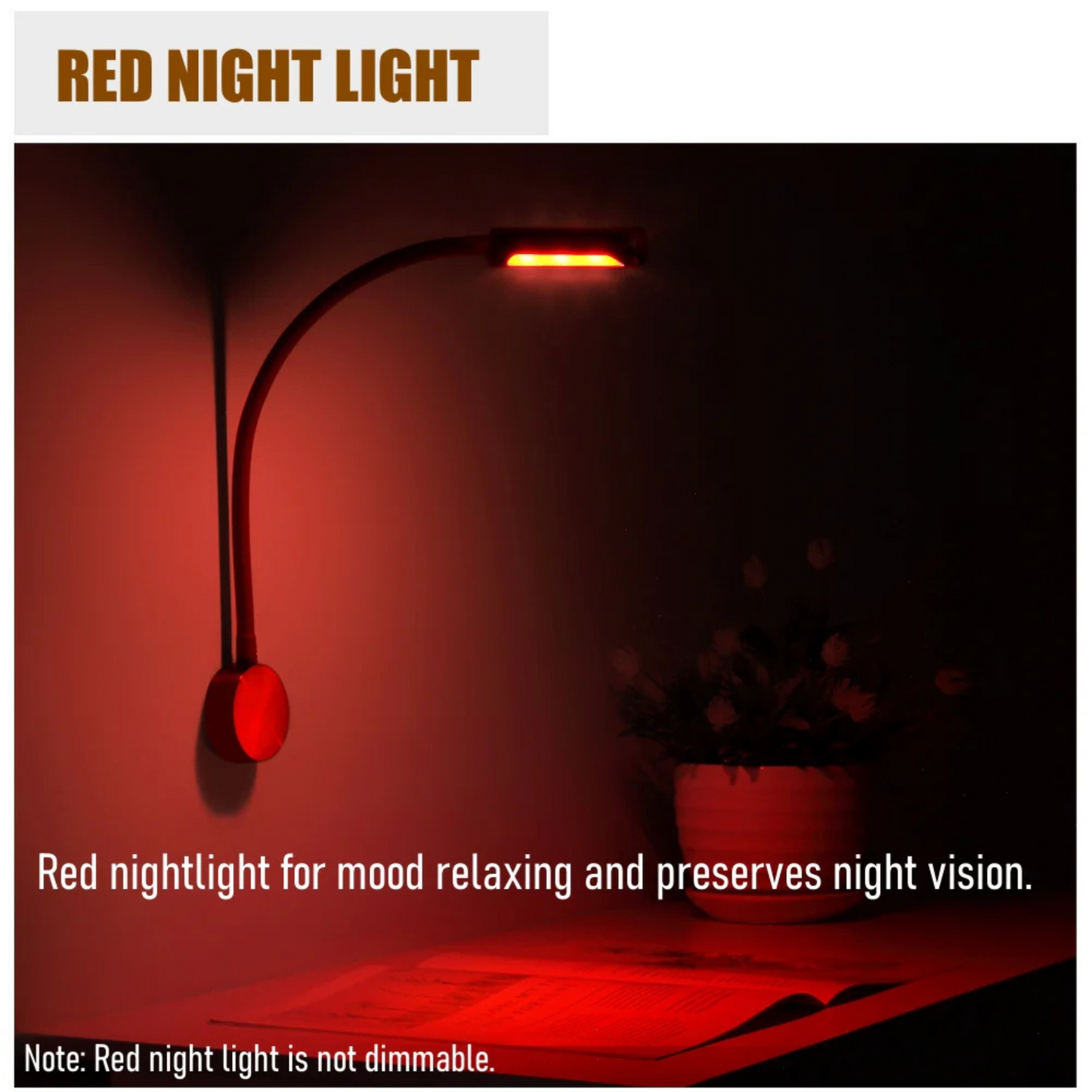 12 / 24v Wall Reading Gooseneck Light