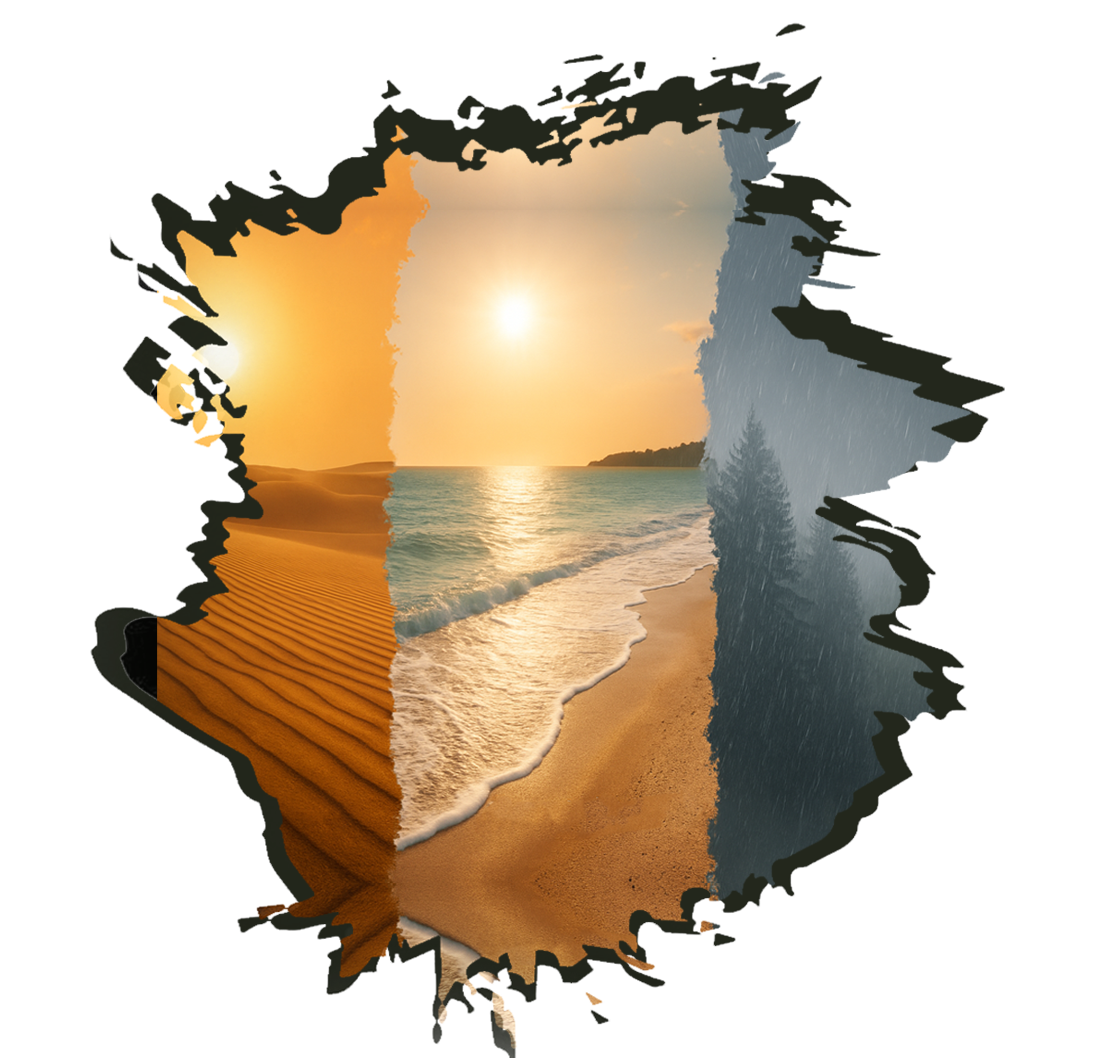 Sand, Beach, Forrest our products are tested to all conditions.