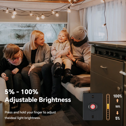 LED dimmer in black housing displayed plainly