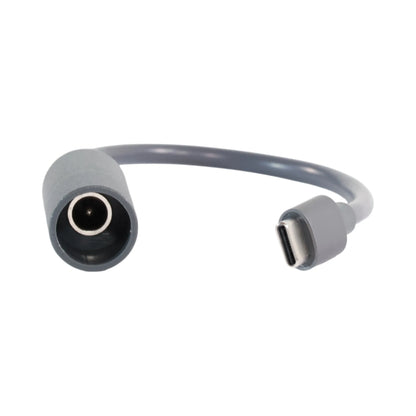 Close-up of Starlink Mini adapter showing DC female input and USB-C male plug