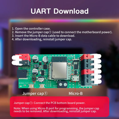WLED Pro module showing ports and wiring labels