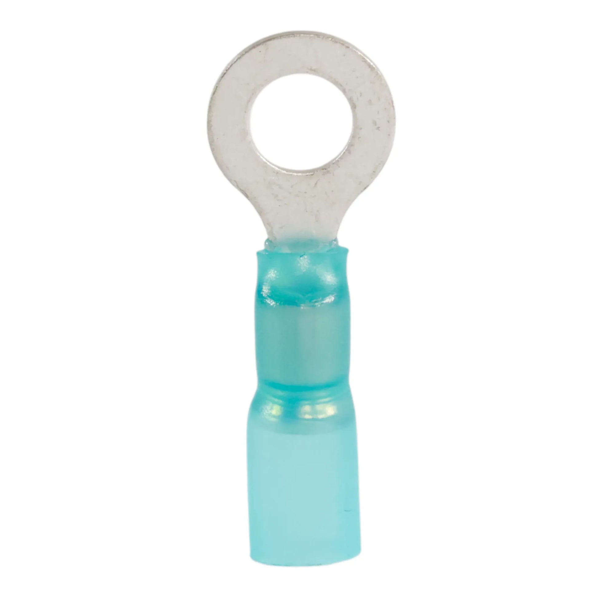 Blue heat shrink ring terminal M6 (100 pack) for caravan, rv, and campervan waterproof 12v wiring connections