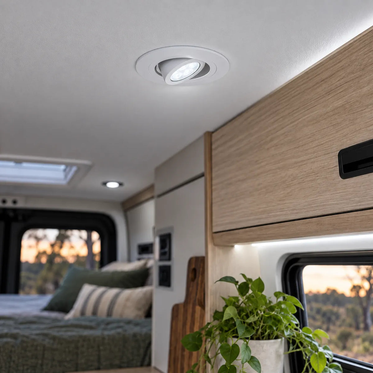 Cool white and red caravan swivel downlights with white surrounds for modern ceiling fitouts