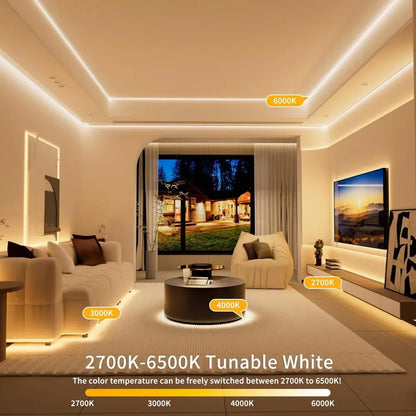 warm-cool dotless LED strip emitting uniform light