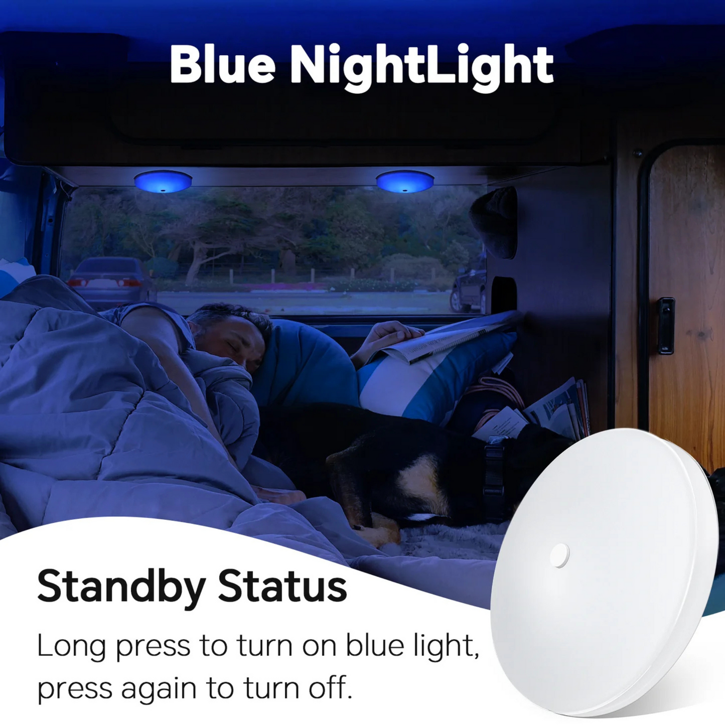 compact tri colour LED fixture in neutral view