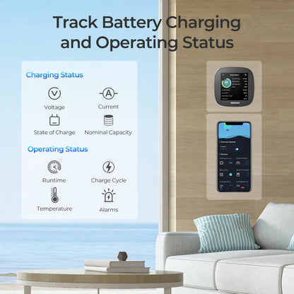 renogy battery shunt 300amp for reliable off grid and marine systems