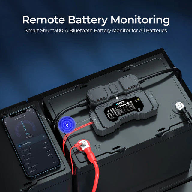 300a renogy battery monitor shunt for solar and auxiliary systems