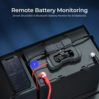 300a renogy battery monitor shunt for solar and auxiliary systems