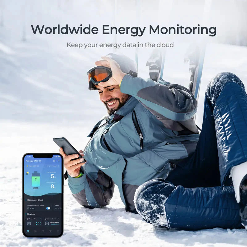 intuitive energy monitor for caravan electrical setups