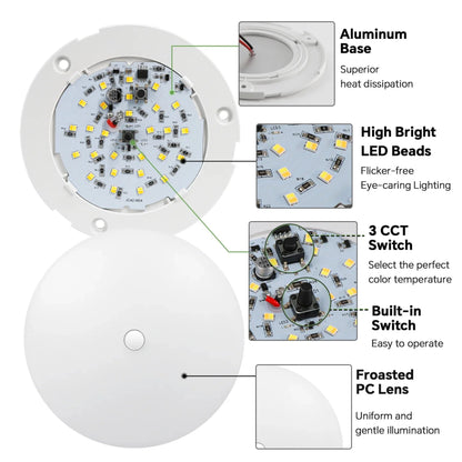 surface light featuring warm neutral and cool options
