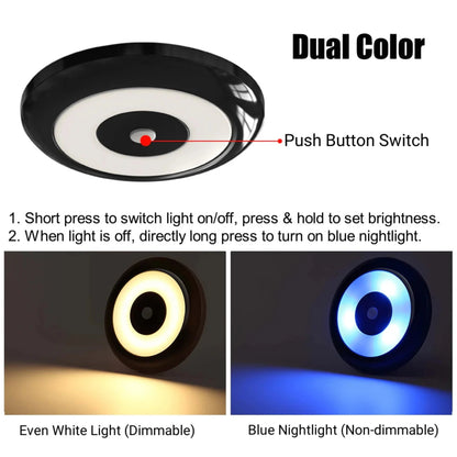 warm white dome light with integrated blue nightlight